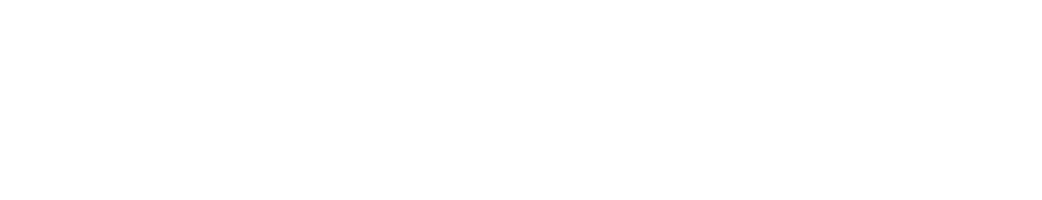 Logo Willig